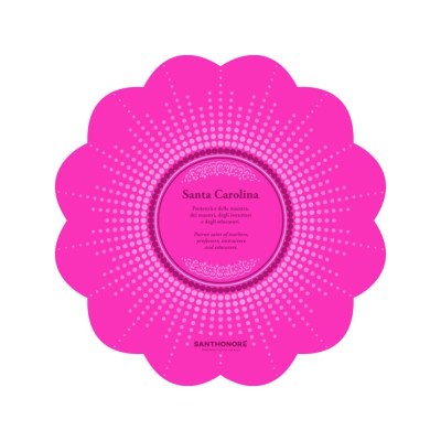 Immagine Santa Carolina